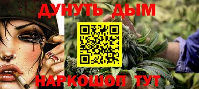 крисы Кингисепп